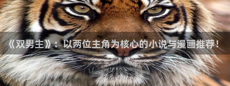omofun网站入口：《双男主》：以两位主角为核心的小说与漫画推荐！
