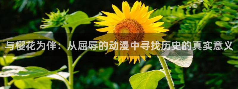 动漫omofun下载：与樱花为伴：从屈辱的动漫中寻找历史的真实意义