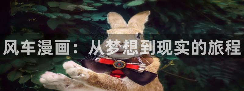 omofun动漫官网在线看：风车漫画：从梦想到现实的旅程