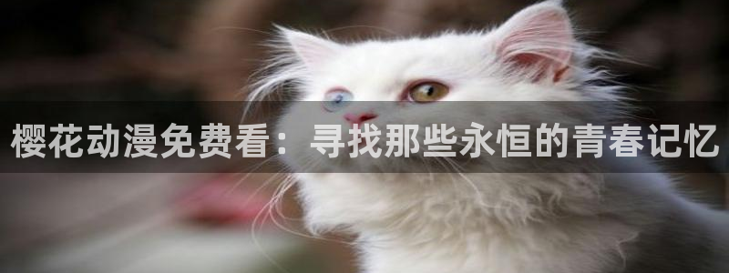 omofun动漫下载最新版：樱花动漫免费看：寻找那些永恒的青春记忆