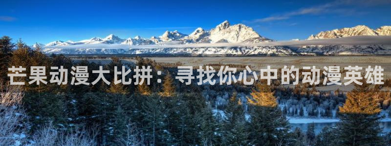 omofun动漫官网app下载：芒果动漫大比拼：寻找你心中的动漫英雄