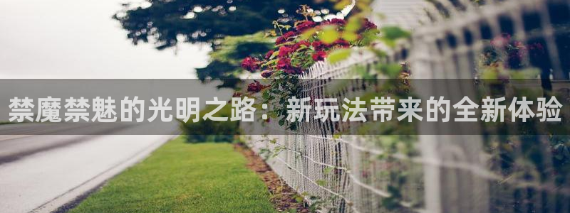 omofun下载ios：禁魔禁魅的光明之路：新玩法带来的全新体验