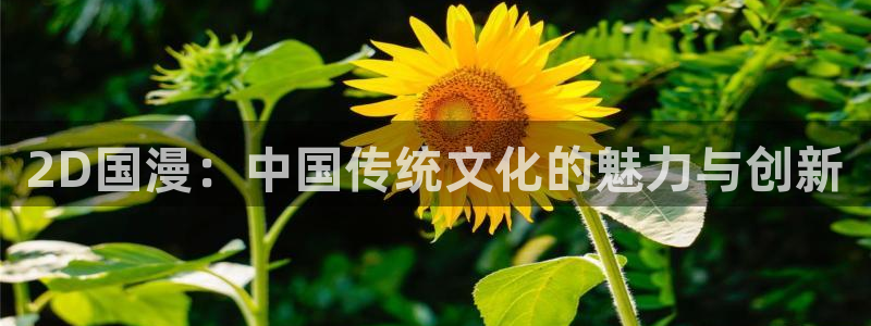 omofun动漫官网入口安卓：2D国漫：中国传统文化的魅力与创新