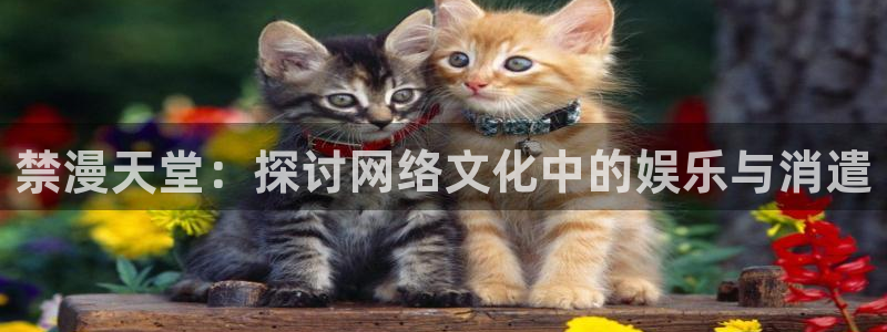 omofun老版本：禁漫天堂：探讨网络文化中的娱乐与消遣