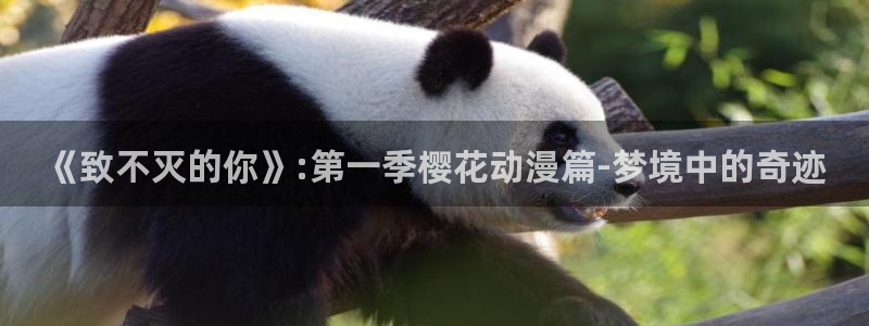 omofun动漫官方app下载