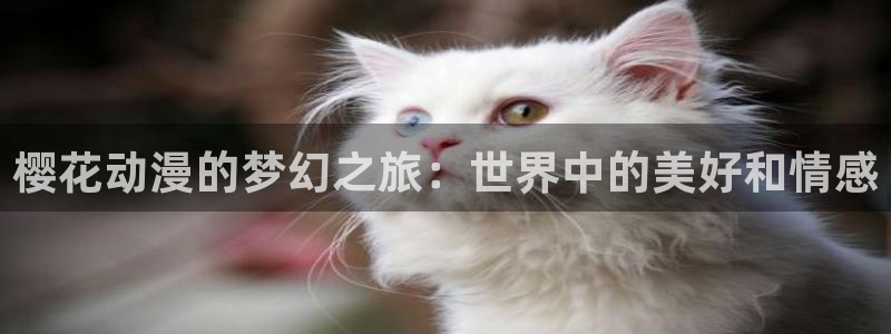 韩漫漫画正版入口下载：樱花动漫的梦幻之旅：世界中的美好和情感
