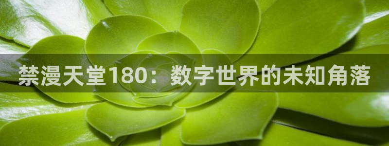 omofun最新：禁漫天堂180：数字世界的未知角落