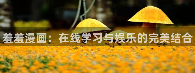 omofun动漫下载最新版：羞羞漫画：在线学习与娱乐的完美结合