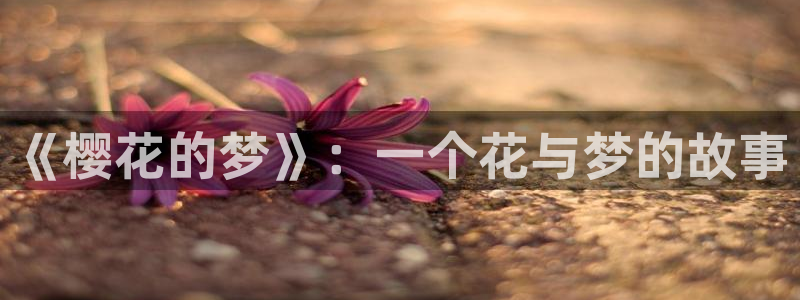 omofun动漫官方正版入口：《樱花的梦》：一个花与梦的故事