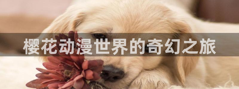 omofun 下载：樱花动漫世界的奇幻之旅