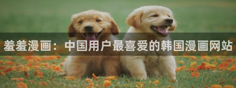 omofun动画：羞羞漫画：中国用户最喜爱的韩国漫画网站
