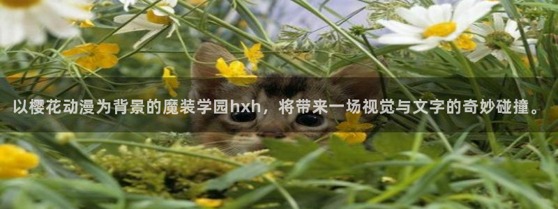 动漫omofun：以樱花动漫为背景的魔装学园hxh，将带来一场视觉与文字的奇妙碰撞。